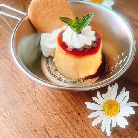 木シェラカッププリン